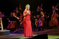Paloma_PMR9245WEB