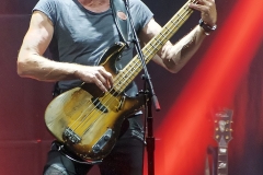 Sting_DSC5702WEB
